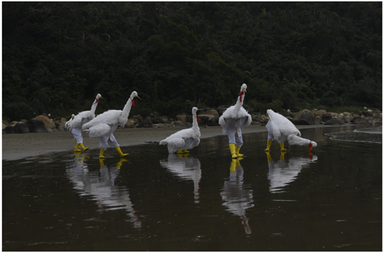 非遗在珠海系列十四三灶鹤舞