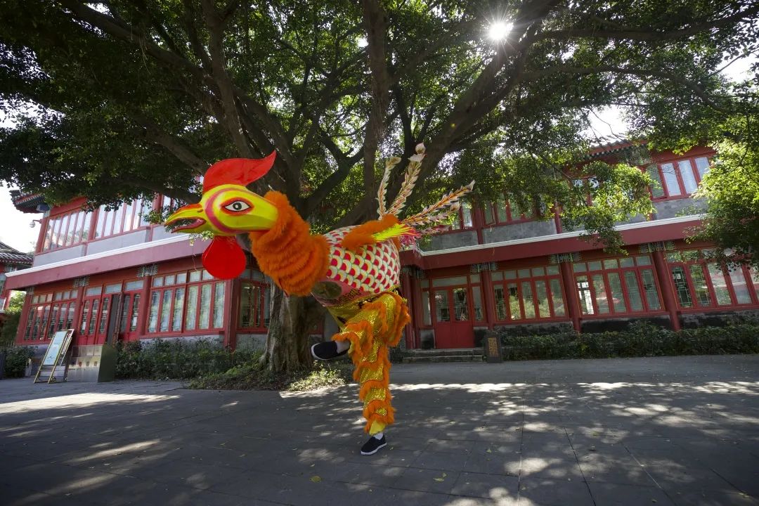 非遗在珠海系列二十前山凤鸡舞